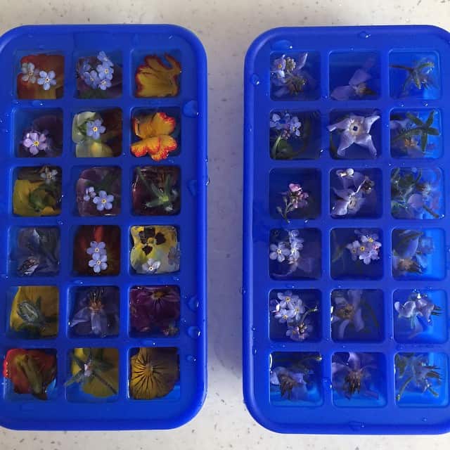 How to make flower ice cubes