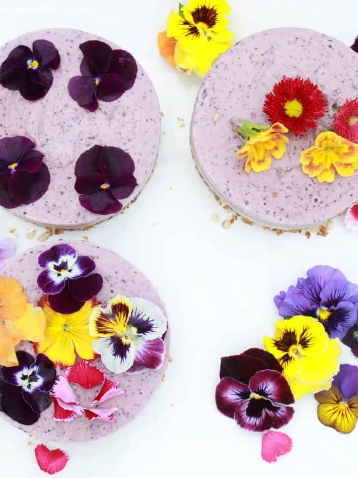 A raw berry cheesecake topped with edible flowers.