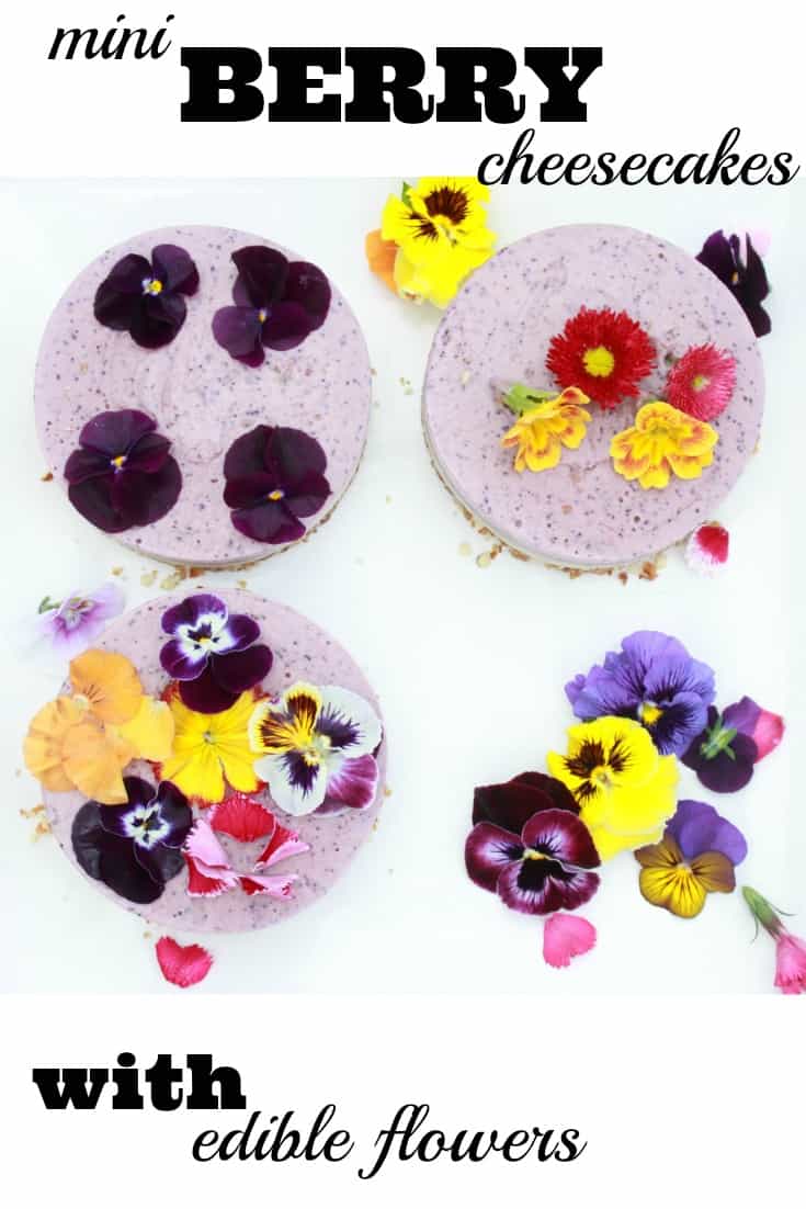 How to make beautiful raw berry cheesecakes decorated with edible flowers from Amy at Mr and Mrs T Plus Three