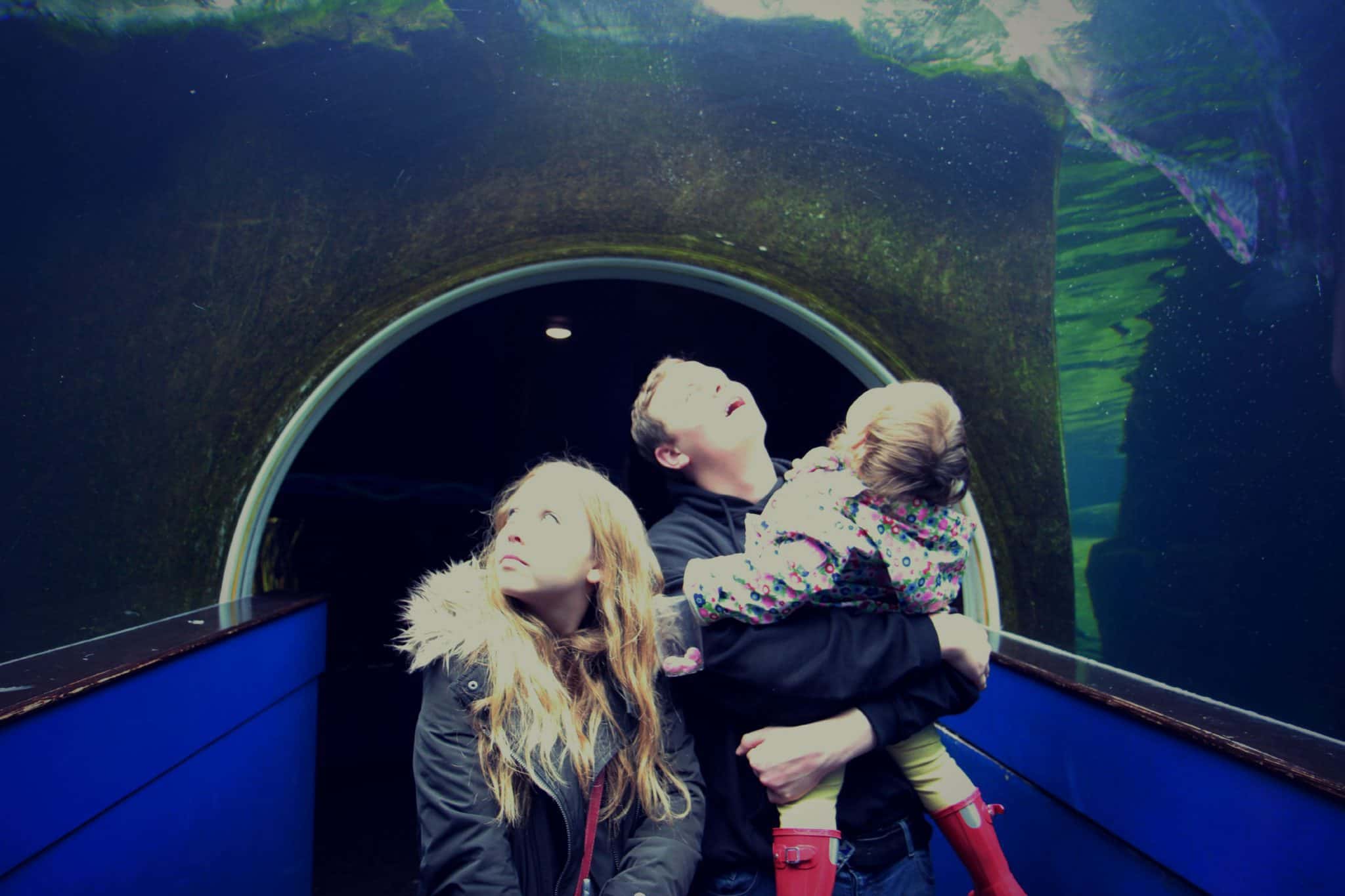 In the underwater viewing tunnel at Bristol Zoo