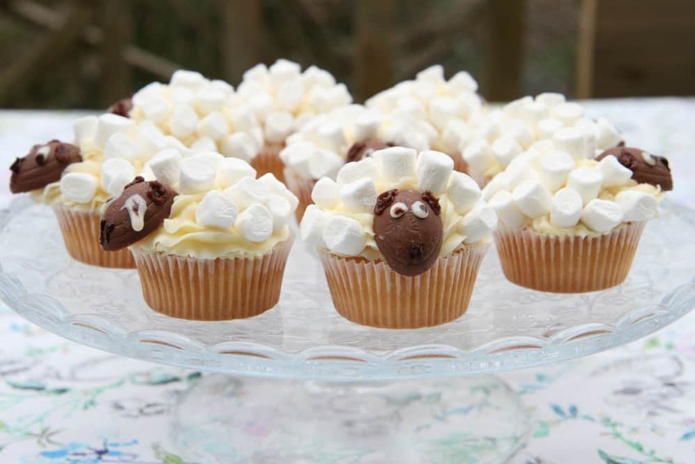 Spring sheep cakes made from iced cupcakes and topped with mini marshmallows and a small creme egg for a face