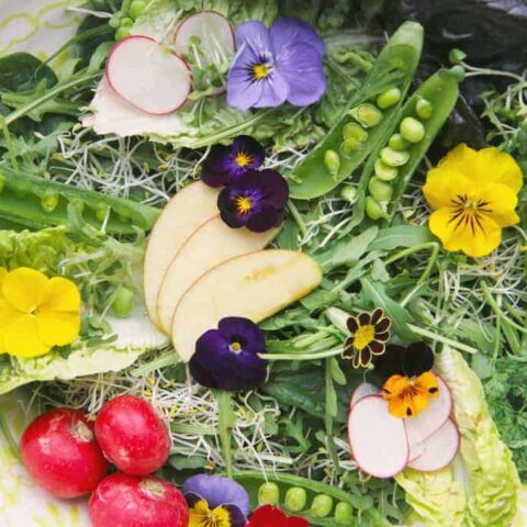 A spring edible flower salad