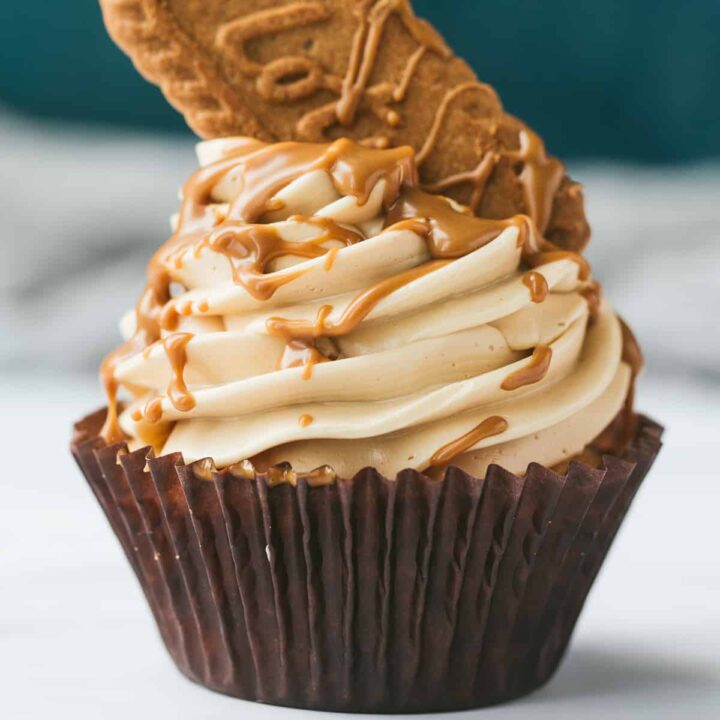 A vanilla cupcake topped with a Lotus biscoff swiss meringue buttercream and drizzled with warm biscoff spread.