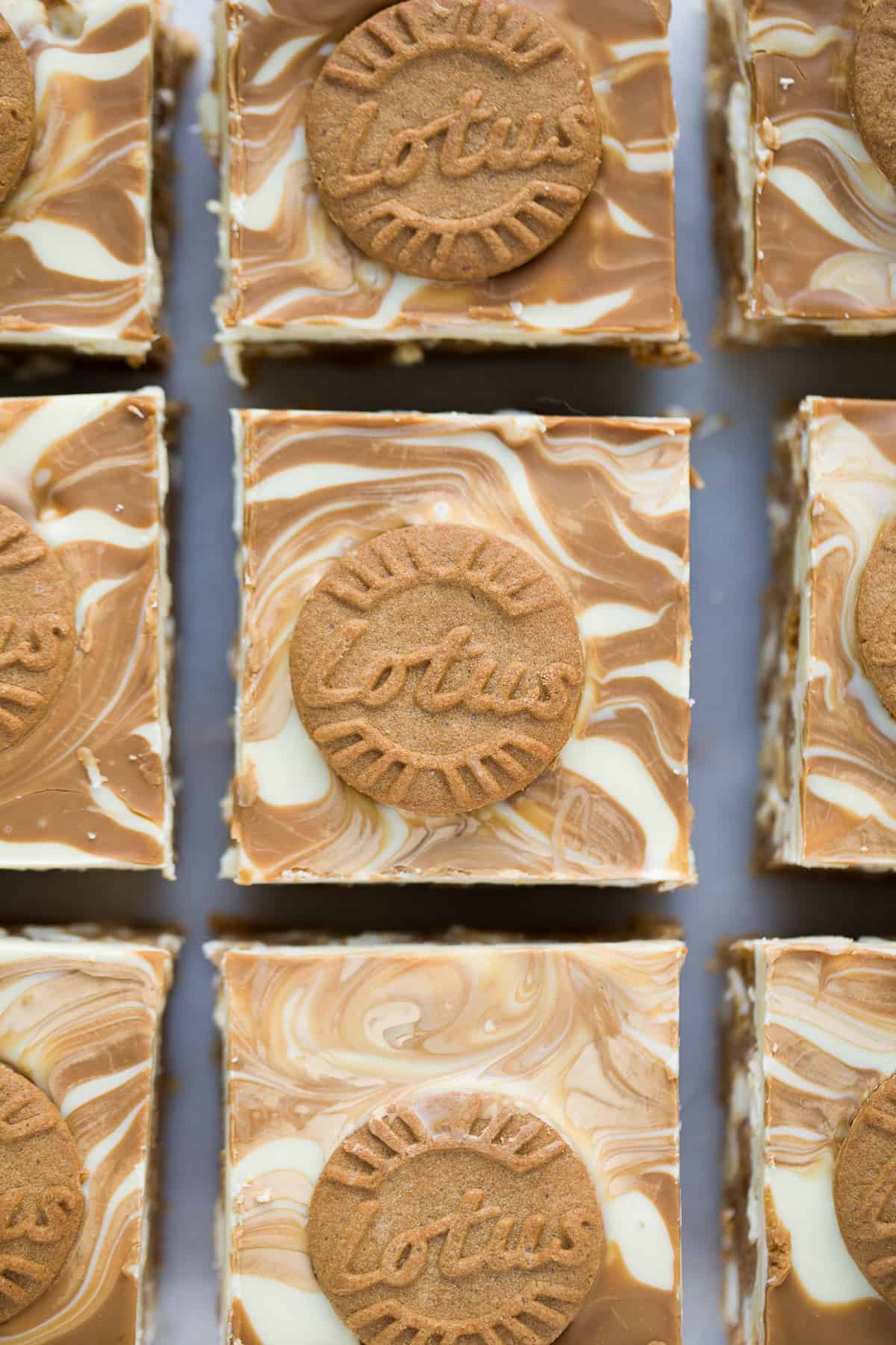 A close up image of Lotus Biscoff Rocky Road. Each square has a round Biscoff creme biscuit on it. 